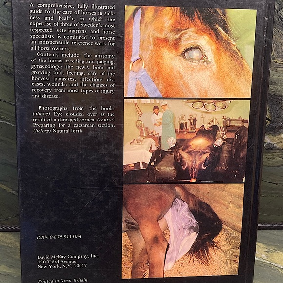 Healthy Horse Handbook Illustrated Hardcover Educational Academia - Picture 2 of 16